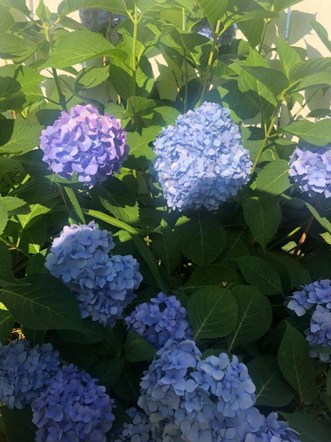 Ottaway Inn Llc Corry Bagian luar foto